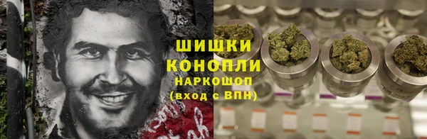 дмт Ладушкин