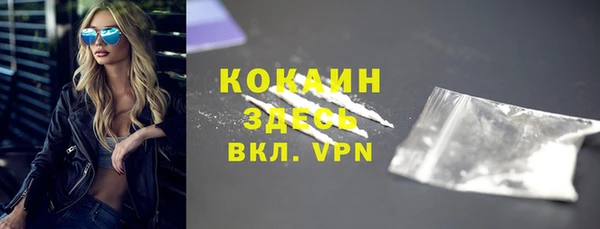 дмт Ладушкин