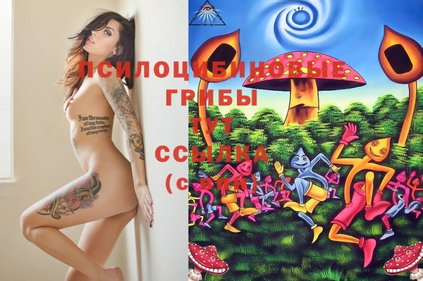 дмт Ладушкин