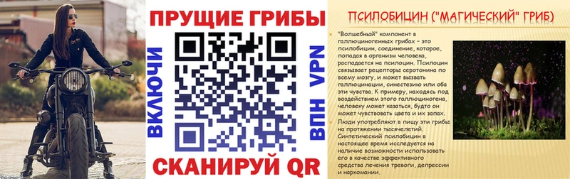 Псилоцибиновые грибы прущие грибы где найти Назрань