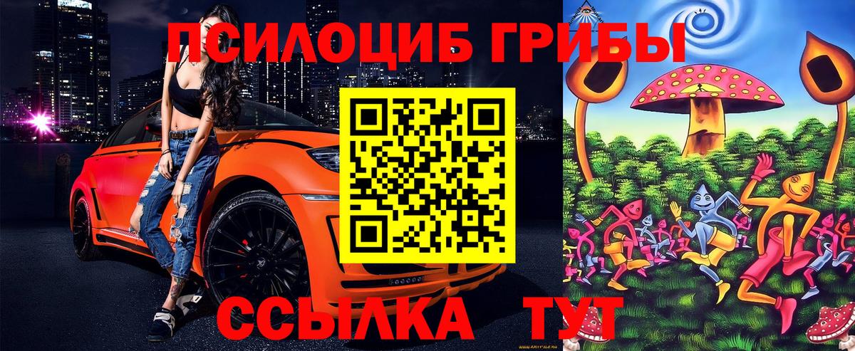 Галлюциногенные грибы GOLDEN TEACHER Назрань