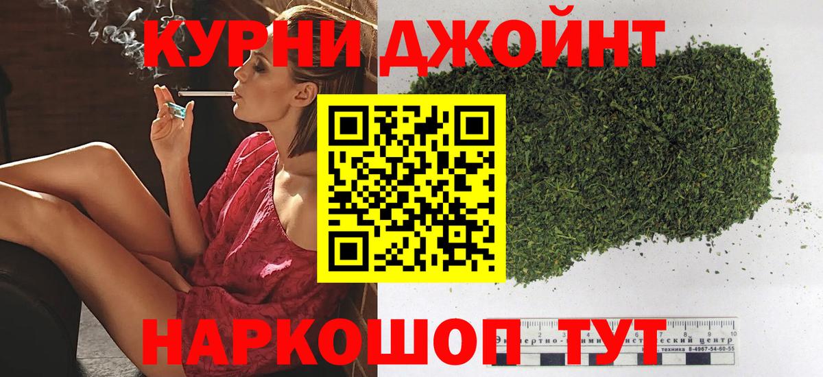Бошки марихуана сатива  Вход с VPN  МАРИХУАНА марихуана  Назрань 